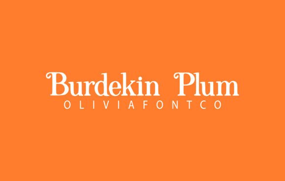Burdekin Plum: A Romantic Script Font for Creative Branding