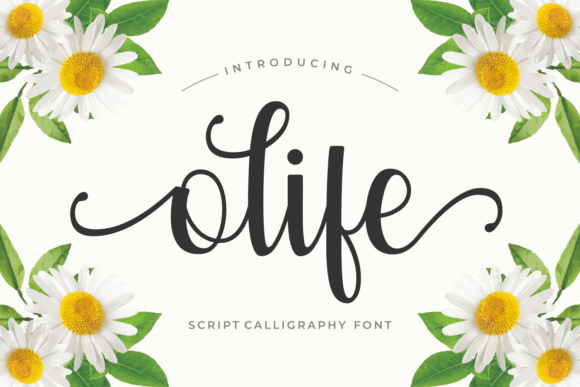 Olife: A Script Font for Crafters and Product Creators