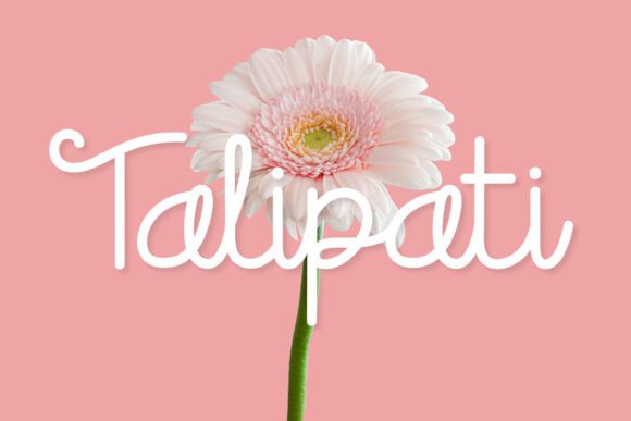 Talipati: A Font That Brings Warmth to Your Editorial Design