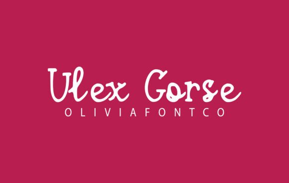 Ulex Gorse: A Romantic Script for Branding Projects